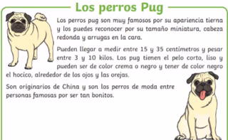 Pulseras Menezes